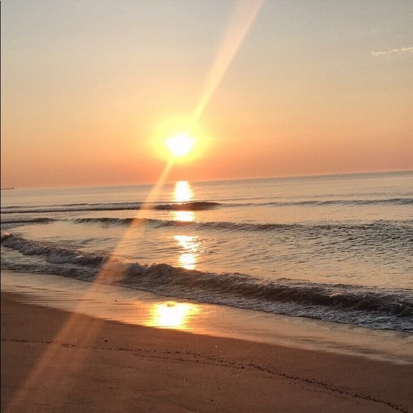 Meet your Posher, Emma - Picture 1 of 1